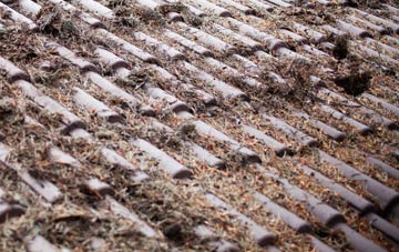 Libanus roof cleaning companies